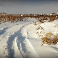 Прогулка берегом Клязьмы! :: Владимир Шошин