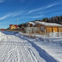Зимняя жизнь дачного поселка. :: Эдуард Пиолий