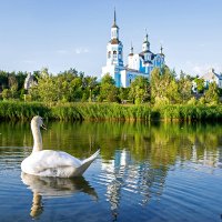 Белый лебедь на пруду - Комсомольск :: Богдан Петренко
