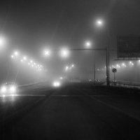 дорога в тумане :: Аркадий Немчак