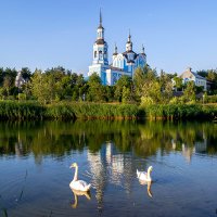 Белые лебеди на пруду - Комсомольск :: Богдан Петренко