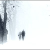 Туман :: Александр Костенко