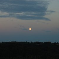 Луна вступает в права :: Алексей К