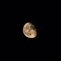Moon :: Екатерина Гусева