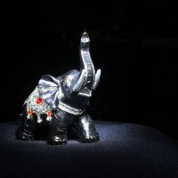 Black Elefant :: Игорь Хворостян