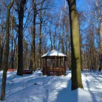 В зимнем парке :: Светлана Лысенко