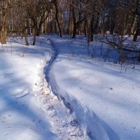 Тропинка в снегу :: Светлана Лысенко