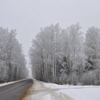 Очень  сыро,  пасмурно. :: Валера39 Василевский.