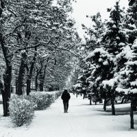 Снежная зима :: Andrii Kyrychuk