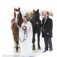 Свадьба :: PRoBoF- Feofannen