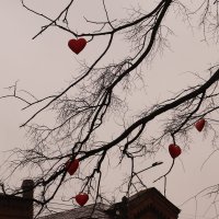 Дерево любви :: Наталья Cаруханова