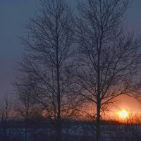 Зимнее солнце :: Вера Андреева