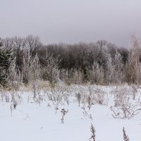 Снег на местности... :: Юрий Стародубцев