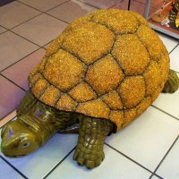 Янтарная черепаха. :: Валерия Комова