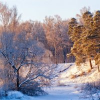 Мороз и солнце :: Алексей Дмитриев