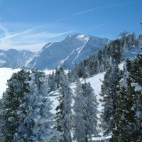 На горных лыжах. :: Лев Колтыпин 