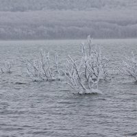 мороз на соленном озере :: M Marikfoto