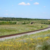 В степях Украины... :: Александр Лонский