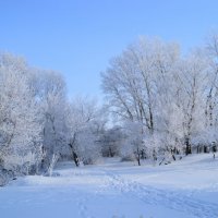 зима :: Александр Лонский