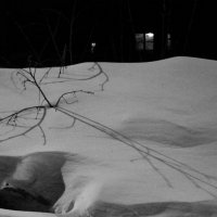 Зима как она есть :: Андрей Буханцев
