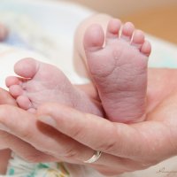 ножки новорожденного :: Надежда Василисина