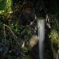 Siam aquarium waterfall :: Oleg Gendelman