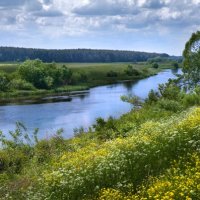 Река Полная :: Евгений Боровлёв