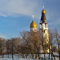 Солнечный день :: Владимир Балюко