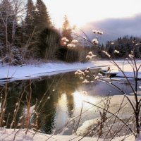 Зимний пейзаж . :: ALISA LISA