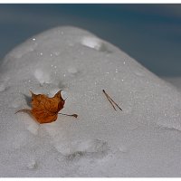 На склоне ... :: Sergey Zimoglyad