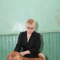 Выставка собак  10.03.2012 :: Андрей Юзеев