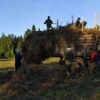 трудовые деревенские будни. :: Владимир Сплендер