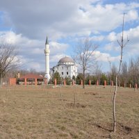 мечеть вид  сбоку :: Александр Кузин