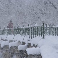 А снег идёт... :: Вячеслав Владимирович 