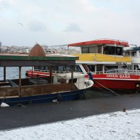 БУХТА ЗОЛОТОЙ РОГ :: Николай Гренков