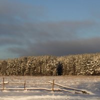 Родные просторы. :: Любовь Анищенко