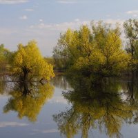 Май в пойме :: M Marikfoto