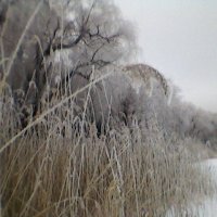 Зима :: Миша Любчик