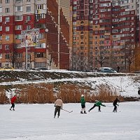 Хоккей у дома :: Валентина Данилова