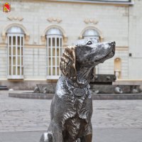 Воронеж. Памятник Белому Биму :: Алексей Шаповалов Стерх