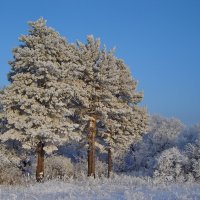 Всё ещё Зима... :: Татьяна Аистова