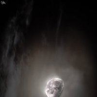 moon :: Николай Таран 