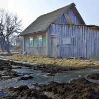 Ждет земля возвращения весны. :: игорь конопченко