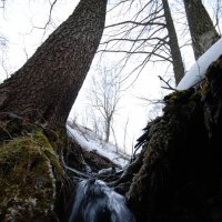 Городище Старая Рязань.Ключ с Живой Водой. :: Василий Капитанов