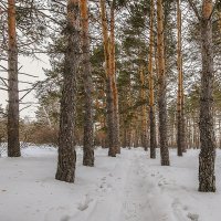 Лыжня :: Kassen Kussulbaev