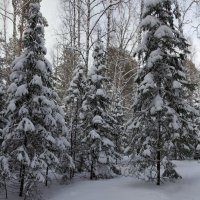 На столбах 2 :: Михаил Барамович