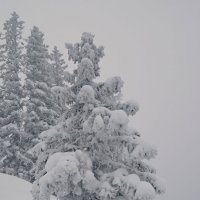 На перевале :: Борис Емельянычев