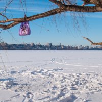 Зимний Воронеж-1 :: Павел Шалаев