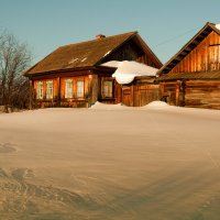 Дом кошачьих свиданий...)) :: Владимир Хиль