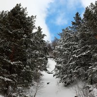 Кулуар :: Радмир Арсеньев